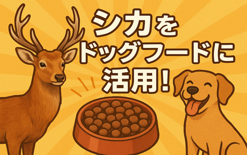 シカをドッグフードに活用する取り組みのアイキャッチ画像