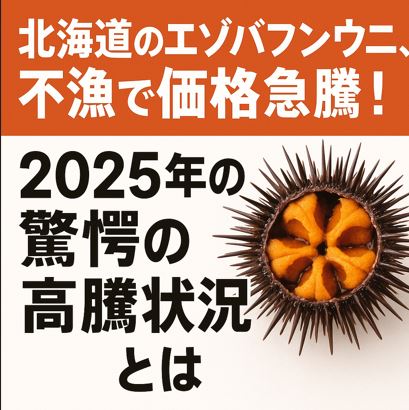 北海道産エゾバフンウニ、不漁による価格急騰と2025年の驚愕の高騰状況を伝えるニュース用アイキャッチ画像