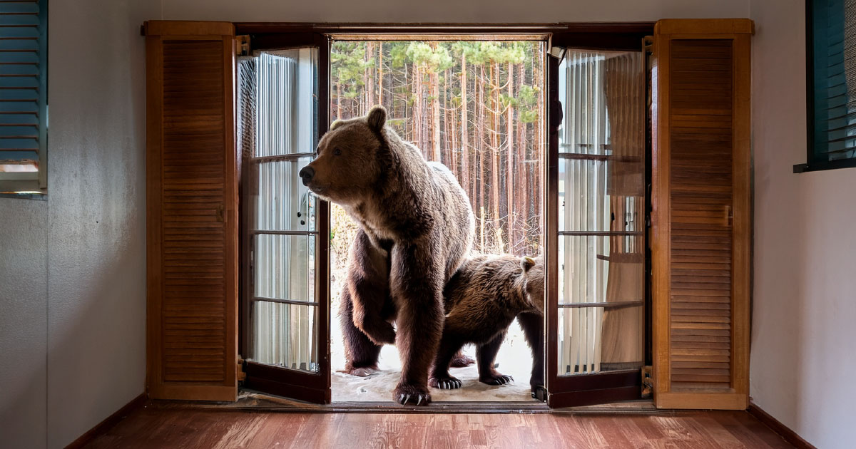 三笠市の住宅に侵入したヒグマのイメージ
