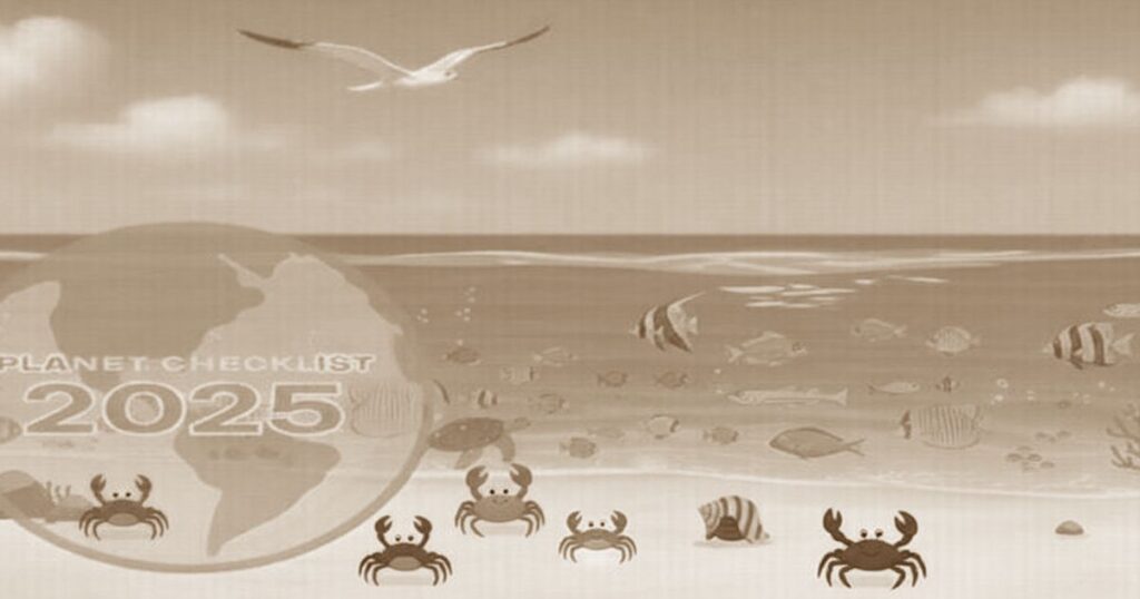 セピア色で描かれた海辺のイラスト。波打ち際のカニたち、泳ぐ魚たち、上空を飛ぶカモメ、左下に「PLANET CHECKLIST 2025」の地球マークが配置されたデザイン。