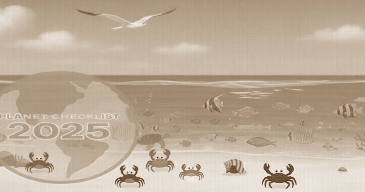 セピア色で描かれた海辺のイラスト。波打ち際のカニたち、泳ぐ魚たち、上空を飛ぶカモメ、左下に「PLANET CHECKLIST 2025」の地球マークが配置されたデザイン。