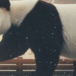 中国パンダ外交の仕組みと世界20カ国への影響 デジタル空間を歩くジャイアントパンダの横向きイラスト